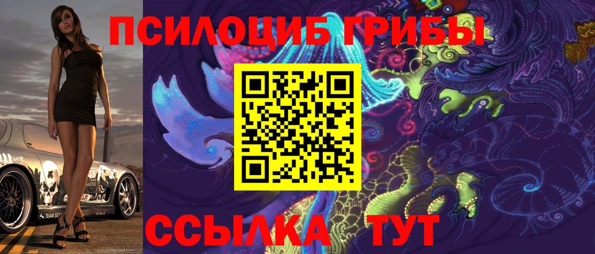 Галлюциногенные грибы прущие грибы  Вход с VPN  Галлюциногенные грибы Psilocybe  Черняховск 